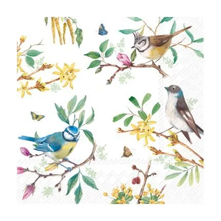 Χαρτοπετσέτα για decoupage, 1τεμ