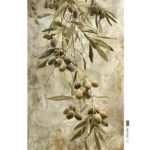 &Rho;&iota;&zeta;ό&chi;&alpha;&rho;&tau;o &Alpha;3 30x40cm 1011