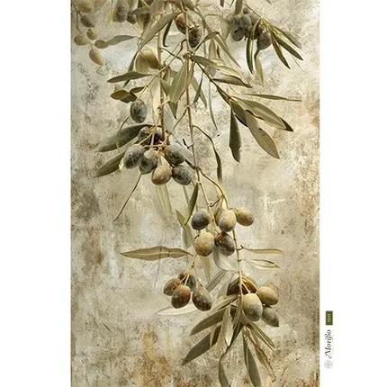 Ριζόχαρτo Α3 30x40cm 1011